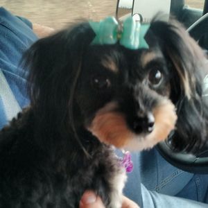 Meet your Posher, Marcy